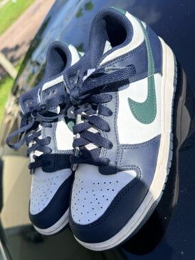 Nike Navy, White & Green Low-Top Sneakers 5.5 Youth